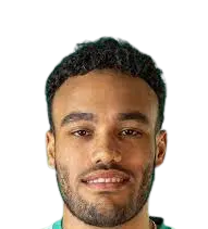 Davi Esteves De Freitas Alves