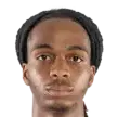 Trey Kongolo
