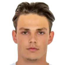 luigi misevic