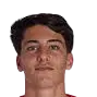Tiago parente