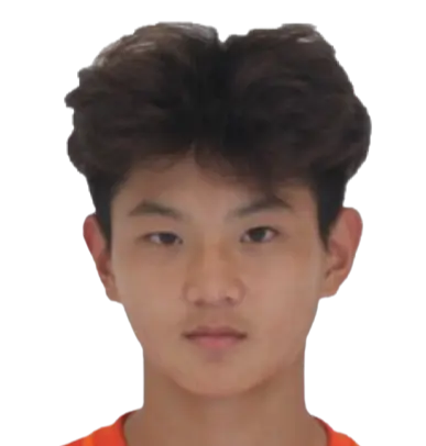 Wang Tianyou
