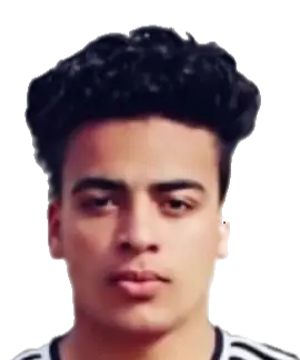 Mohamed Ismail
