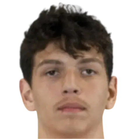 Giorgi Kavelashvili