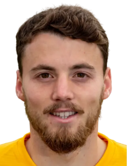 André Filipe Carneiro Leal