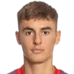 Aljaz Strajnar