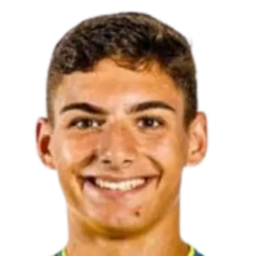 diogo brazido
