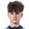 Harry Gray