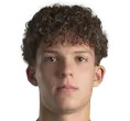 Armin pecsi