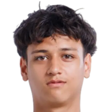 Tiago Vermeulen