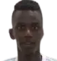 Ayman Mohamed Hussein