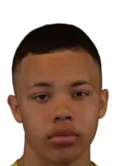 Leandro Elvestad Neto