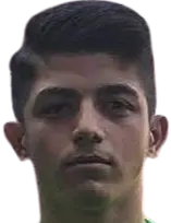 Şahin. Dik