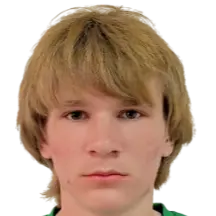 anikeev andreevich
