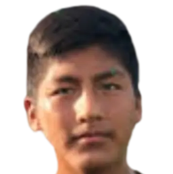 andres guillermo