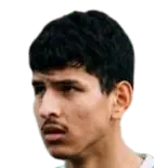 Mostafa Heydari