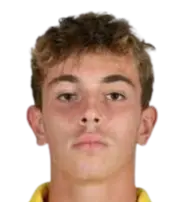 Francesco Raffaelli