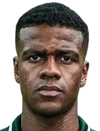 vieira fellipe