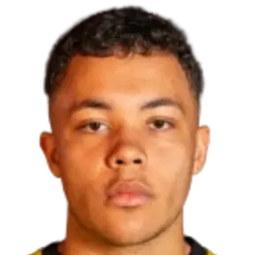 Leandro Elvestad Neto