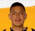 Ronald Steven Bustos Torrelio