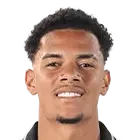 Newton