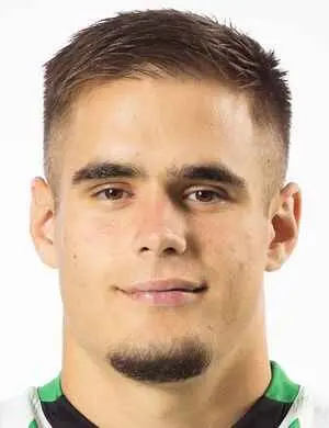 Nikola motika