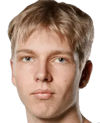 darius stankevicius