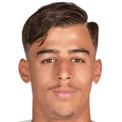 Yanis Hadjem