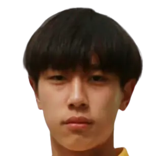 Xin Hongjun