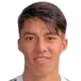 Cristian Aravena