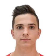 Viktor Kanizaj