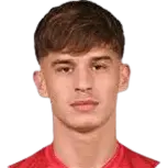 Bogdan·Mircetic