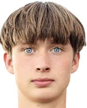 vladislav dobishchuk