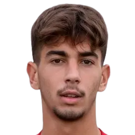 Matteo Luppichini