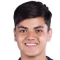 Enzo fernandez