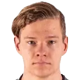 Raiko ilves