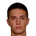 sipovac danilo