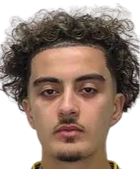 Ayoub Assal