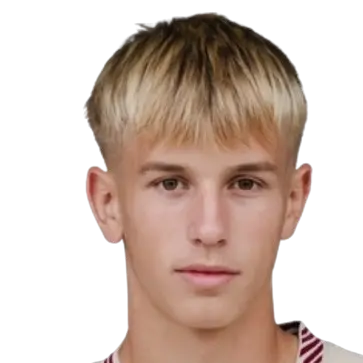 Dominik Dobis