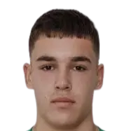 ognyan vladimirov