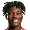 dircsi ngonzo