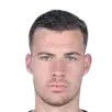 gavran luka