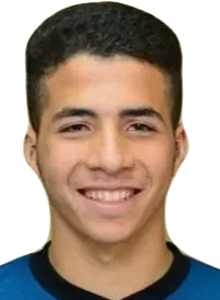Hesham Adel