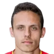Raul stefan