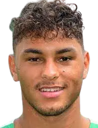 Armindo Sieb