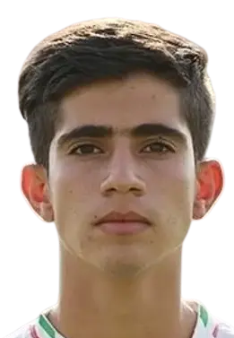 Alireza Koushki