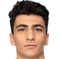 Amirmohammad Razaghinia