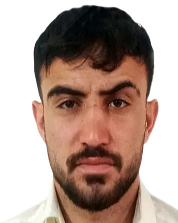 Mehdi Mamizadeh