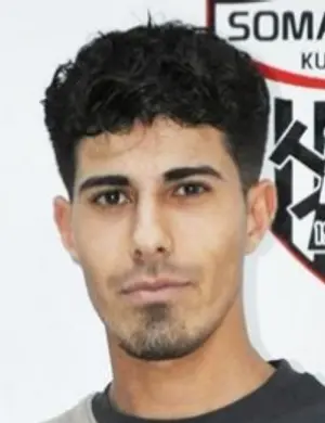 M. Şevik