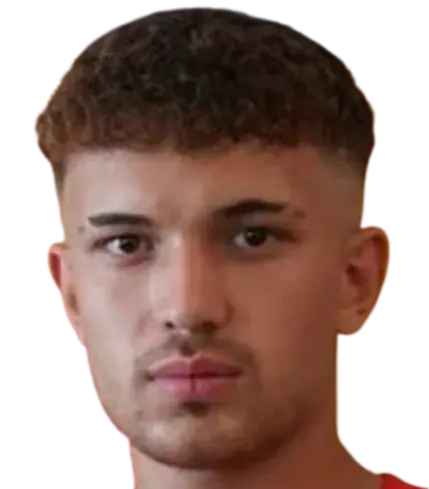 Necip Özer