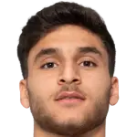 Abolfazl Zoleikhaei